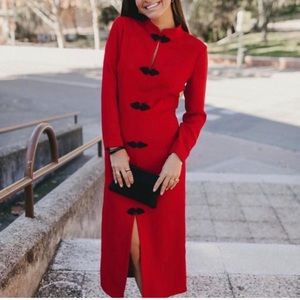 NWT! Zara toggle dress